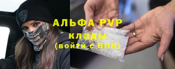 прущие грибы Белокуриха