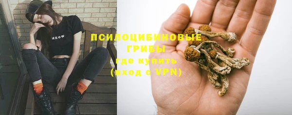 ГАЛЛЮЦИНОГЕННЫЕ ГРИБЫ Белоозёрский