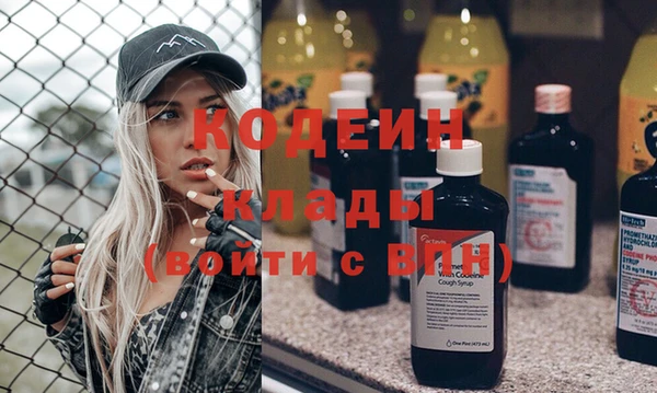 прущие грибы Белокуриха