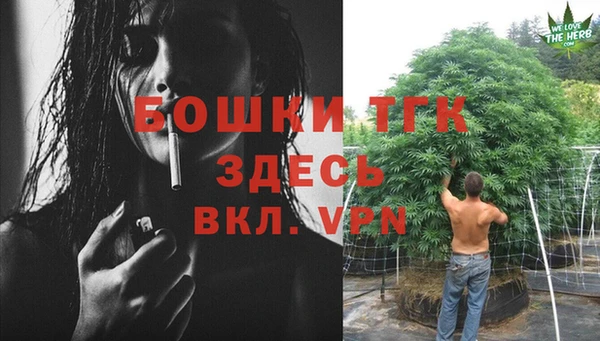 прущие грибы Белокуриха
