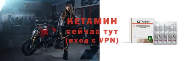 прущие грибы Белокуриха