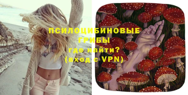 ГАЛЛЮЦИНОГЕННЫЕ ГРИБЫ Белоозёрский
