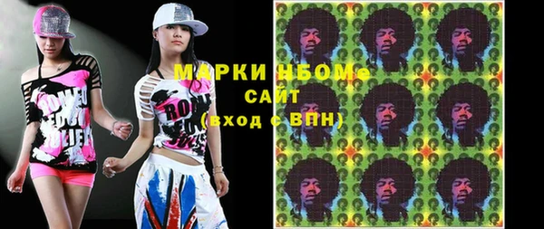 прущие грибы Белокуриха