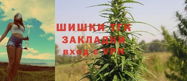 ГАЛЛЮЦИНОГЕННЫЕ ГРИБЫ Володарск