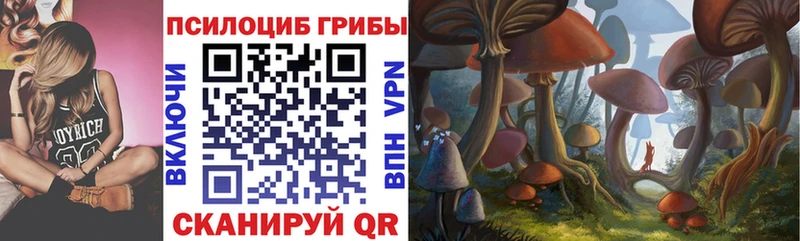 Псилоцибиновые грибы мицелий  Волосово 