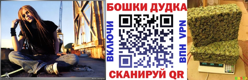 нарко площадка официальный сайт  Волосово  Марихуана AK-47  где найти наркотики 